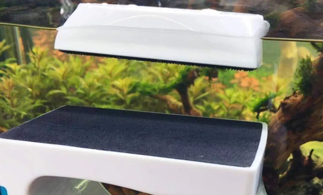 鱼缸刷